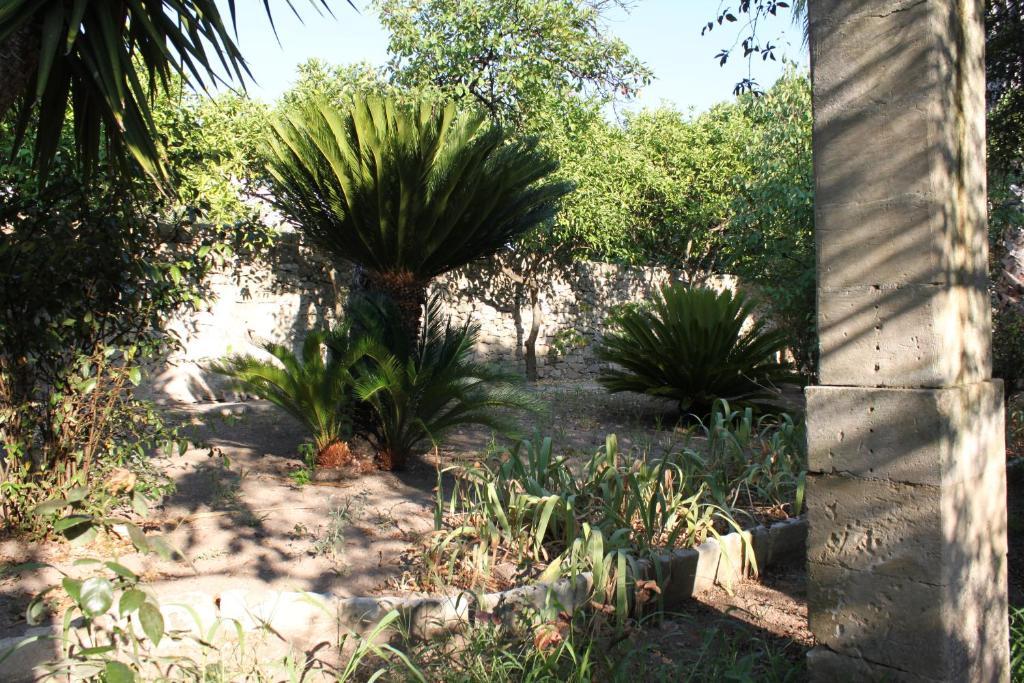 Dimora Storica "Casa Sicuro" Bed & Breakfast Martano Luaran gambar