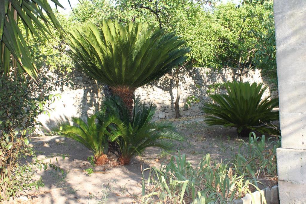 Dimora Storica "Casa Sicuro" Bed & Breakfast Martano Luaran gambar